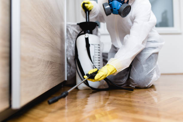 Best Affordable Pest Control Services  in Sam Rayburn, TX