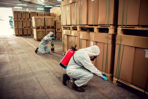 Best Pest Prevention Services  in Sam Rayburn, TX