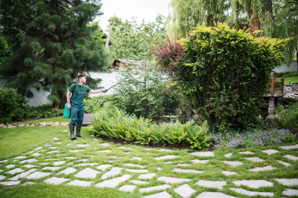 Best Best Pest Control Companies  in Sam Rayburn, TX
