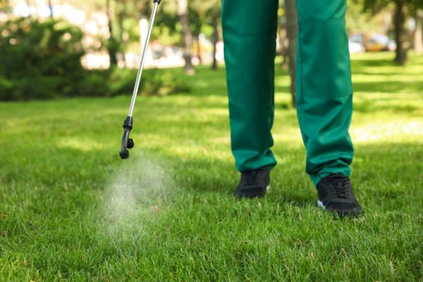 Best Termite Control Services  in Sam Rayburn, TX