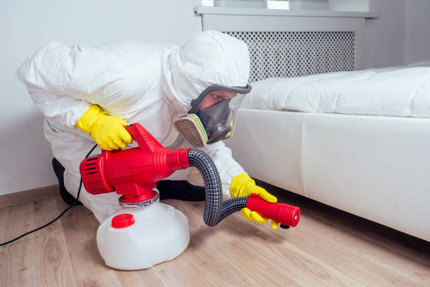 Best Local Pest Control Services  in Sam Rayburn, TX