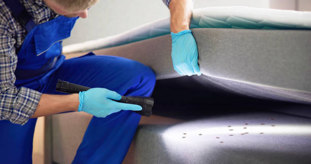 Best Best Pest Control Companies  in Sam Rayburn, TX