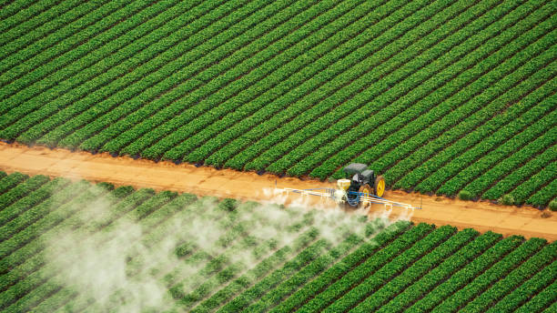 Best Pest Inspection Near Me  in Sam Rayburn, TX