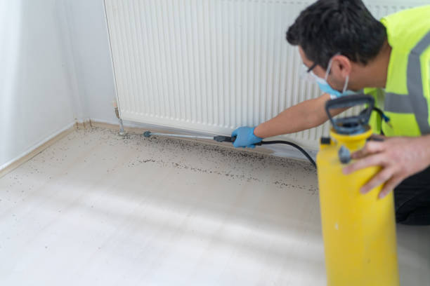 Best Emergency Pest Control  in Sam Rayburn, TX