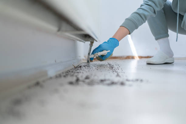 Sam Rayburn, TX Pest Control Company
