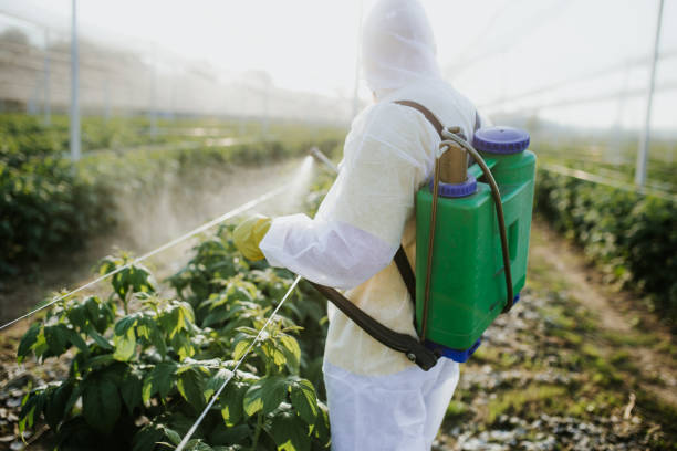 Sam Rayburn, TX Pest Control Company